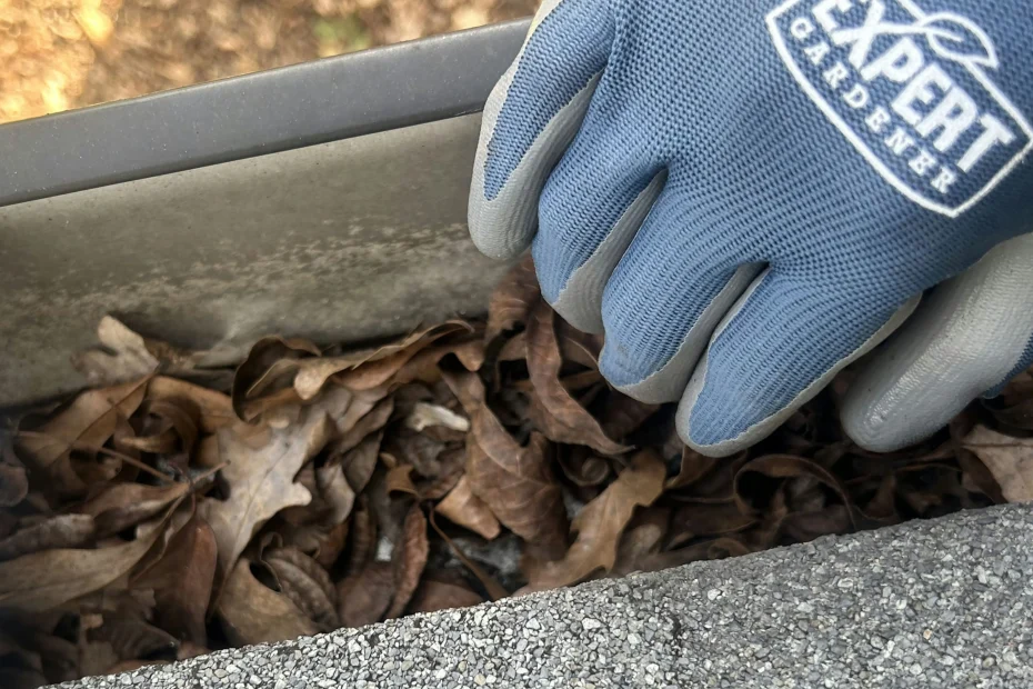 Gutter Cleaning Anderson